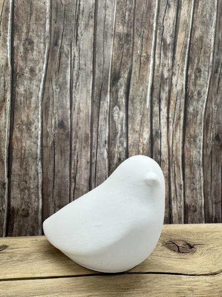 Vögel